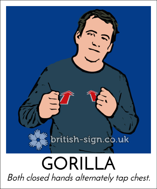 British Sign Language Learn BSL Online Sign Language Course 