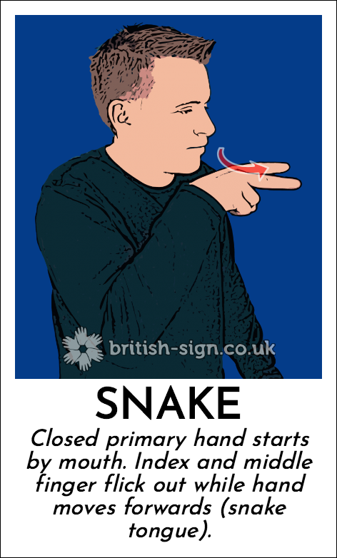BSL Sign of The Day - 2024/4/23-snake.png