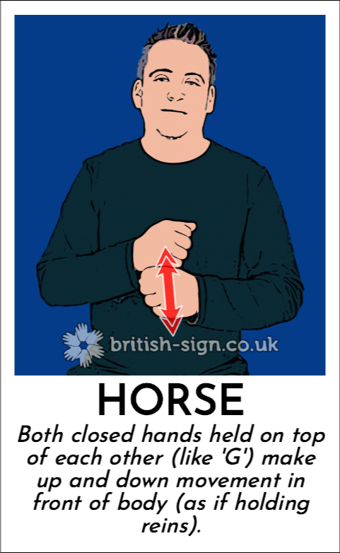 BSL Sign of The Day - 2024/5/15-horse.png
