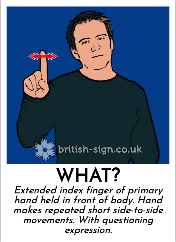 BSL Sign of The Day - 2024/5/22-what.png