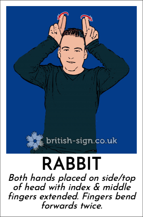 BSL Sign of The Day - 2025/10/3-rabbit.png