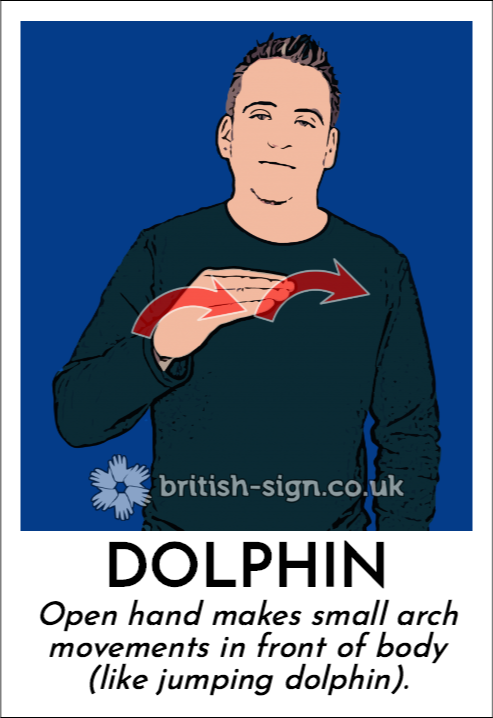 BSL Sign of The Day - 2025/11/23-dolphin.png