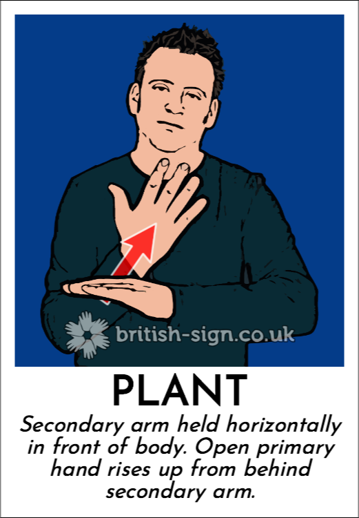 BSL Sign of The Day - 2025/11/27-plant.png