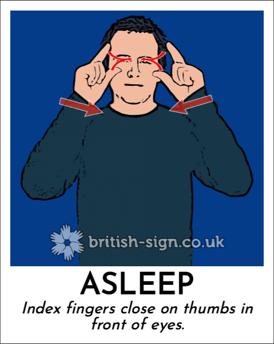 BSL Sign of The Day - 2025/11/9-asleep.png