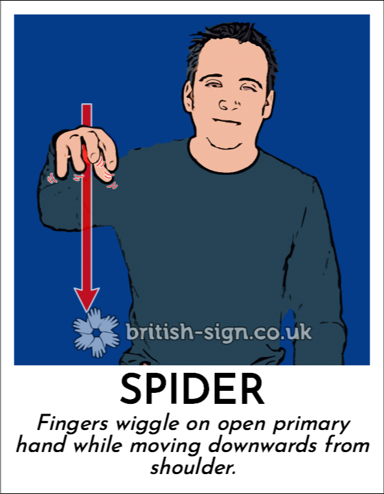 BSL Sign of The Day - 2025/12/2-spider.png
