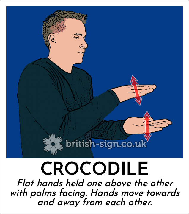 BSL Sign of The Day - 2025/7/18-crocodile.png