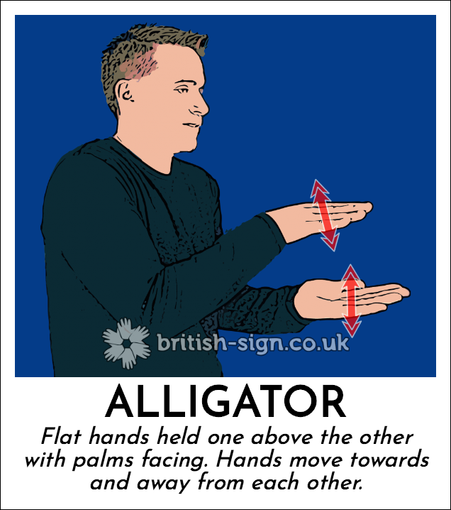 BSL Sign of The Day - 2025/9/12-alligator.png