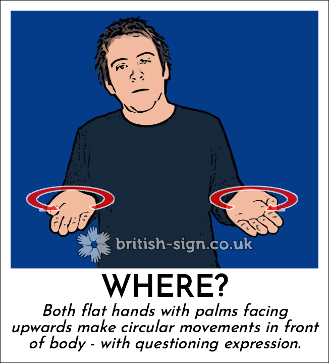 BSL Sign of The Day - 2026/3/14-where.png