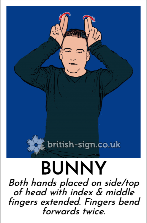 BSL Sign of The Day - 2026/4/10-bunny.png