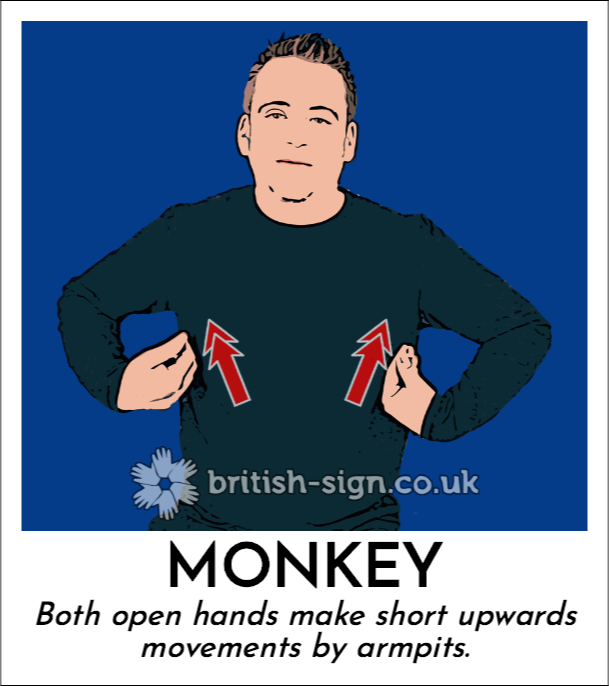 BSL Sign of The Day - 2026/4/13-monkey.png
