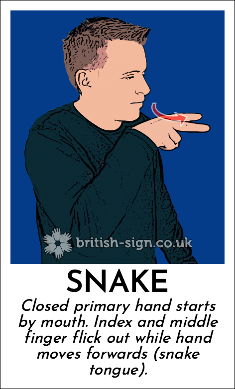 BSL Sign of The Day - 2026/4/23-snake.png