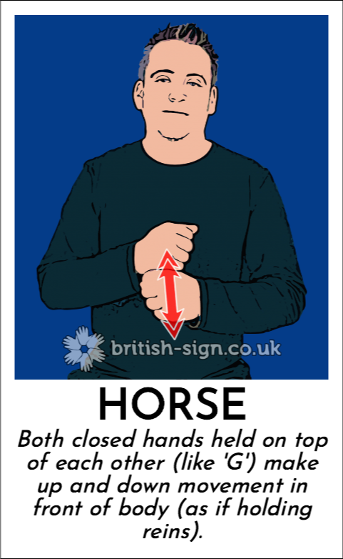 BSL Sign of The Day - 2026/5/15-horse.png