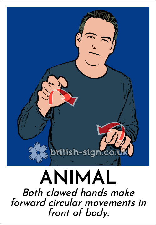 BSL Sign of The Day - 2026/6/11-animal.png