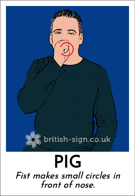 BSL Sign of The Day - 2026/6/13-pig.png