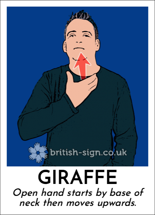 BSL Sign of The Day - 2026/7/15-giraffe.png