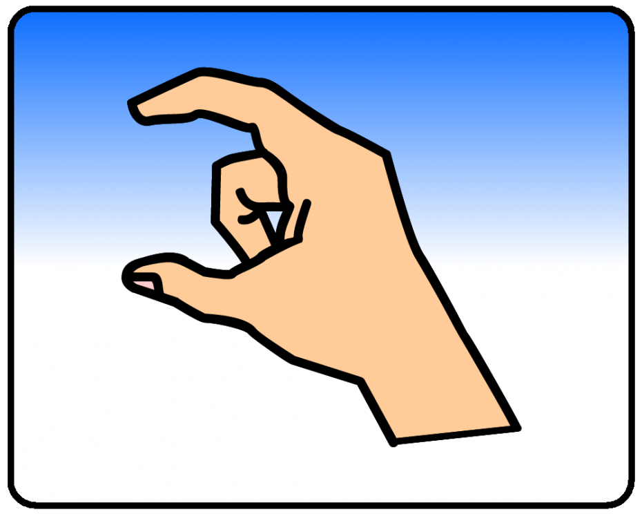 C - British Sign Language (BSL)