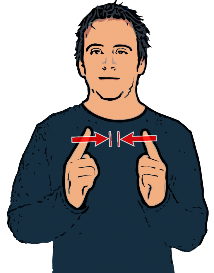 Meet - British Sign Language (BSL)