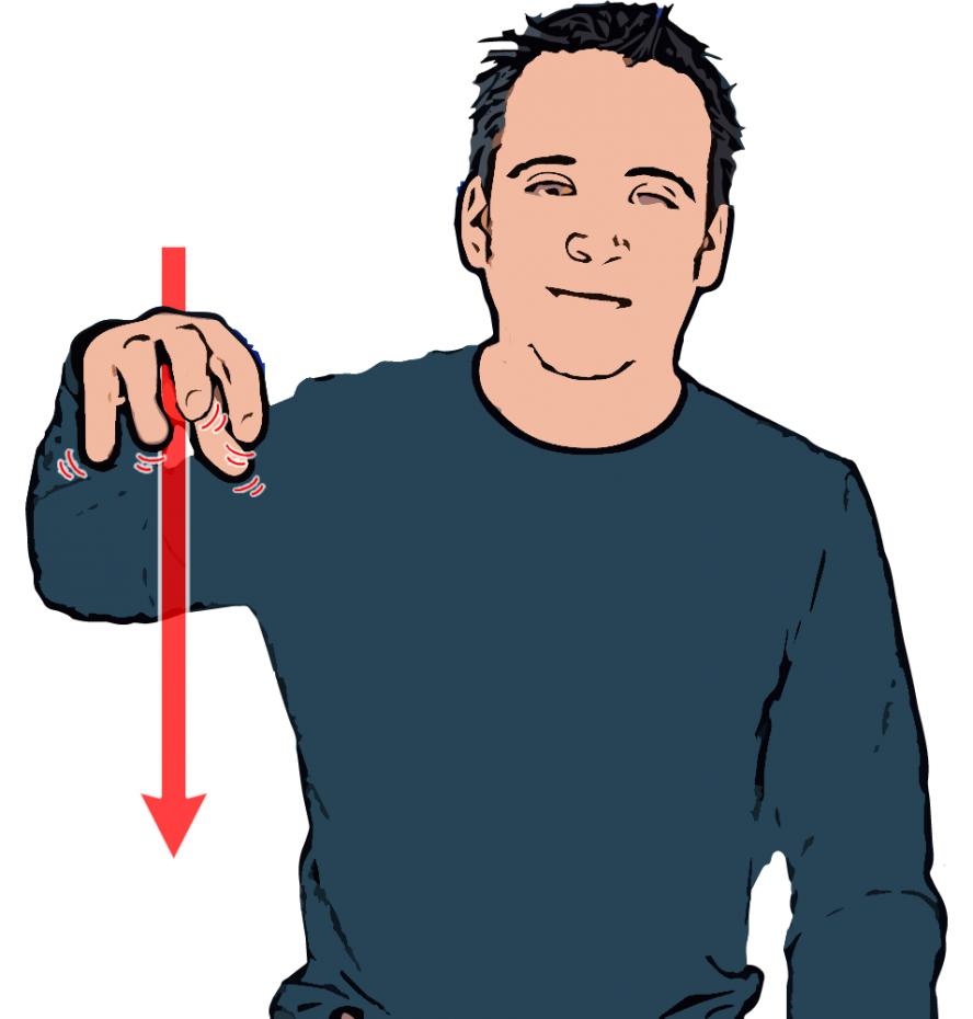 Spider - British Sign Language (BSL)