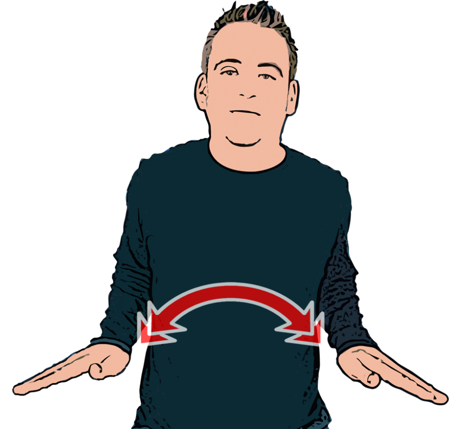 Penguin - British Sign Language (BSL)
