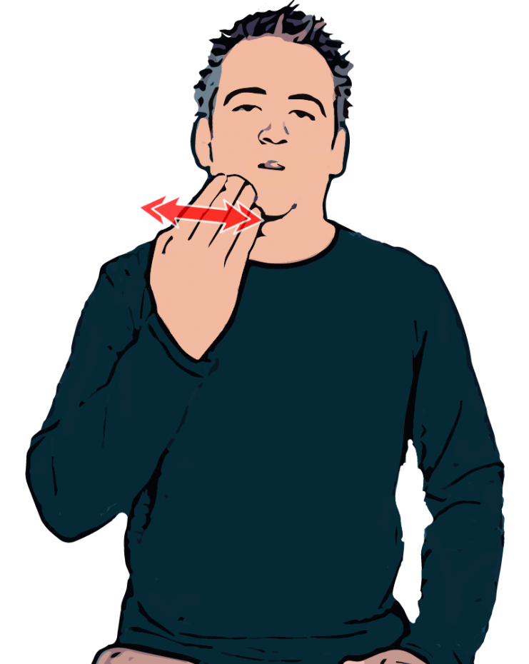 School - British Sign Language (BSL)