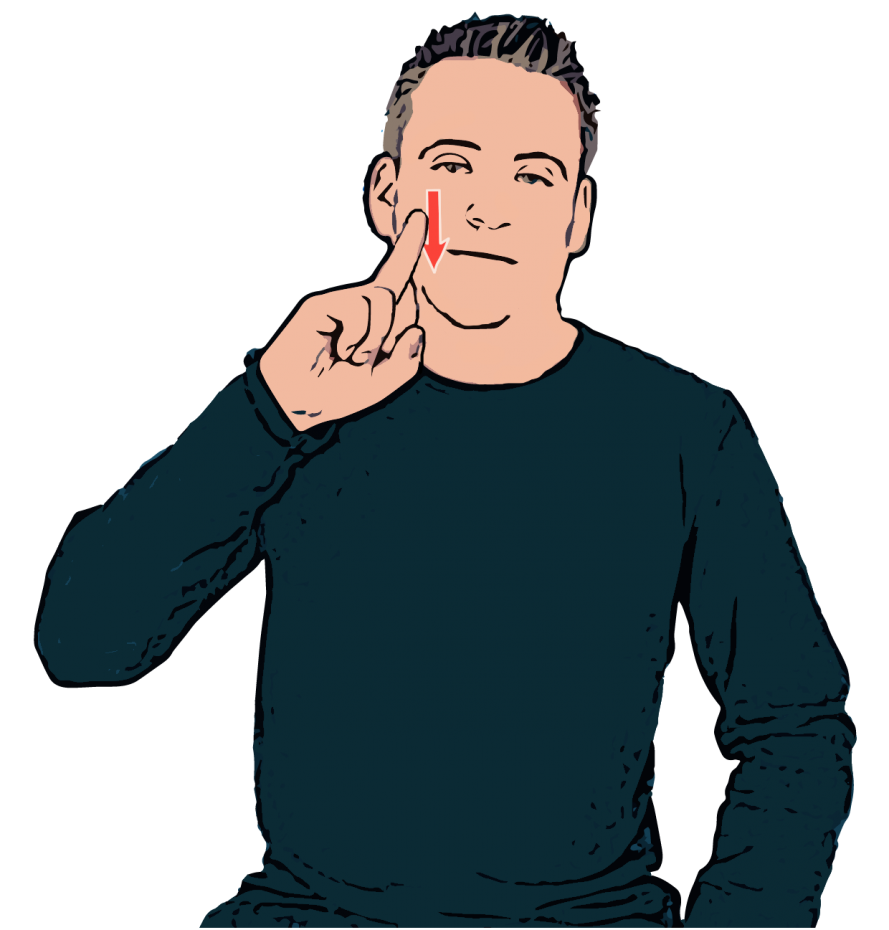 Pink - British Sign Language (BSL)