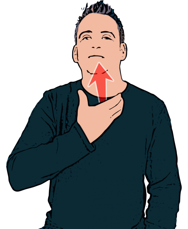Giraffe - British Sign Language (BSL)