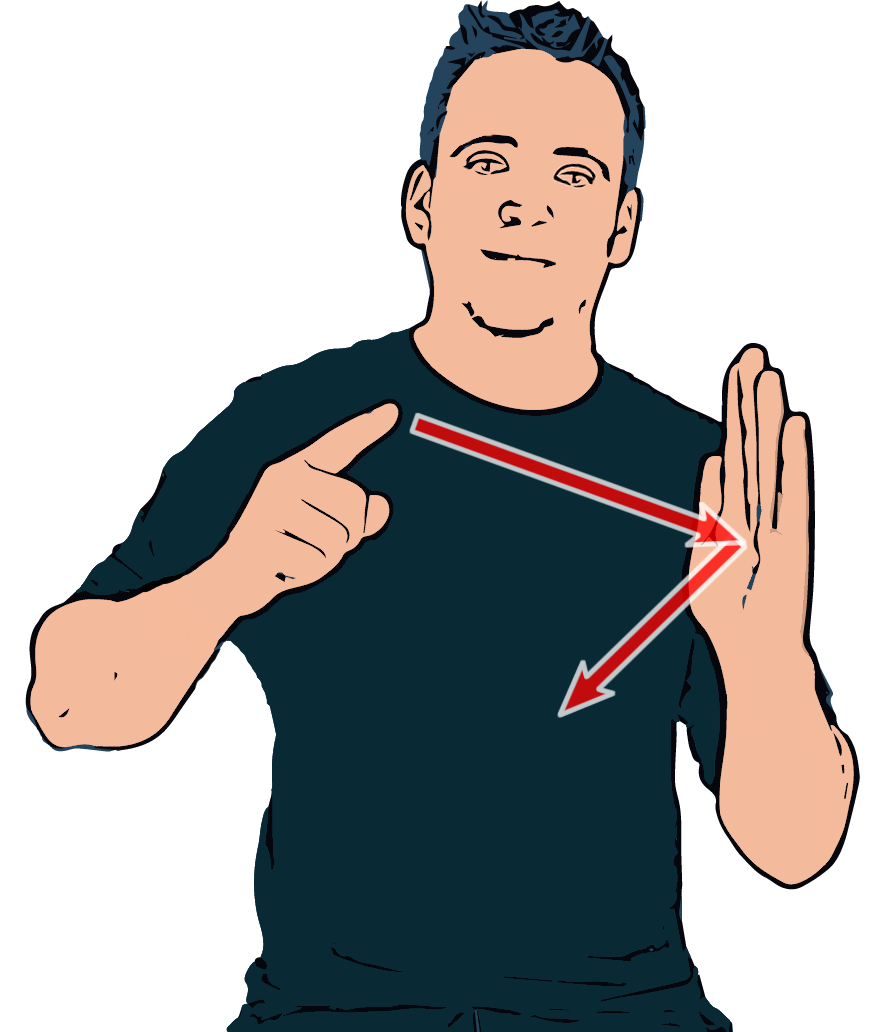 BSL sign for satellite