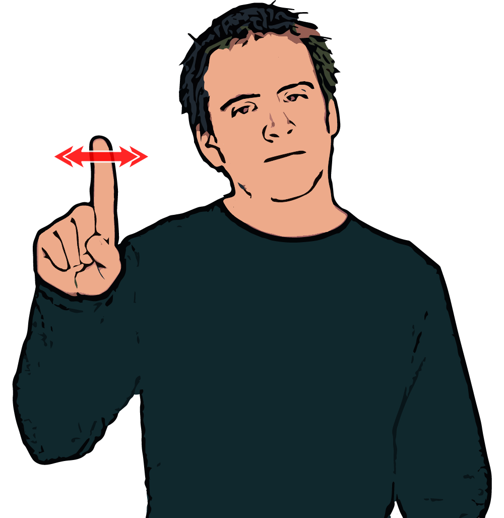 BSL sign for what?